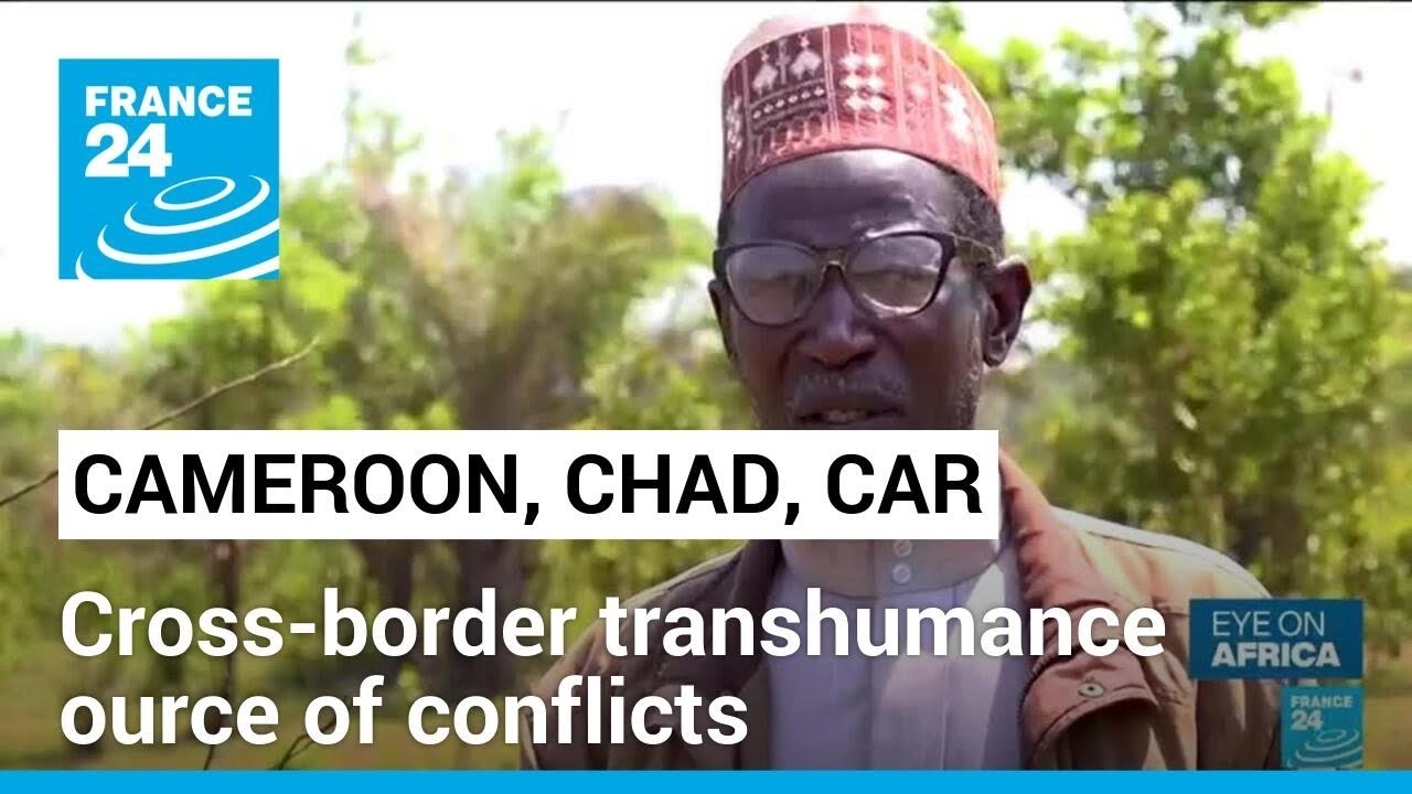 Cross-border transhumance between Cameroon, Chad and CAR source of conflicts &bull; FRANCE 24 English