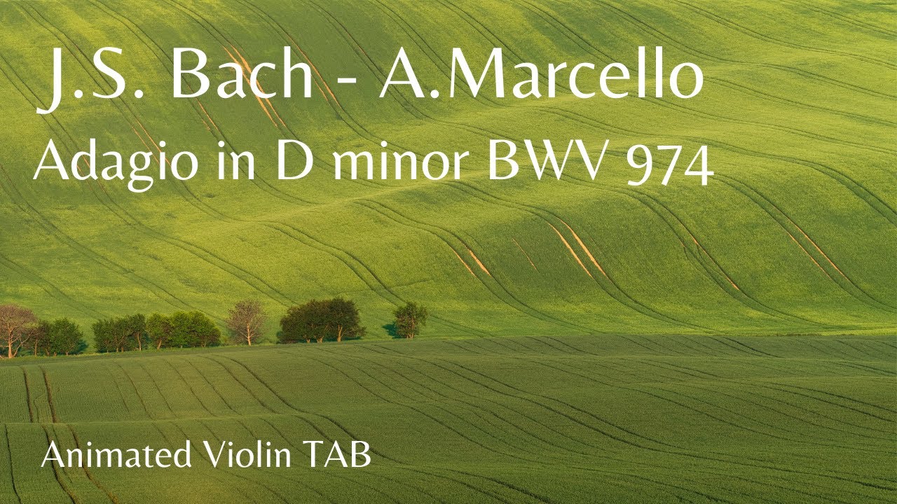J.S.BACH - A.MARCELLO - Adagio in D minor BWV 974 - Animated Violin TAB
