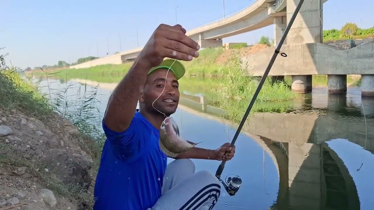 حركه تجيب السمك الكبير فى نهر النيل من اسكندريه إلى الصعيد