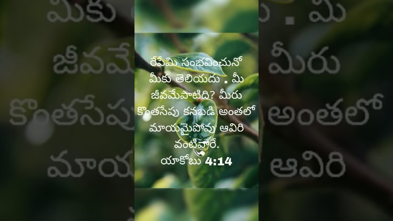 #biblevibes #telugubibleversesforlife #telugubible