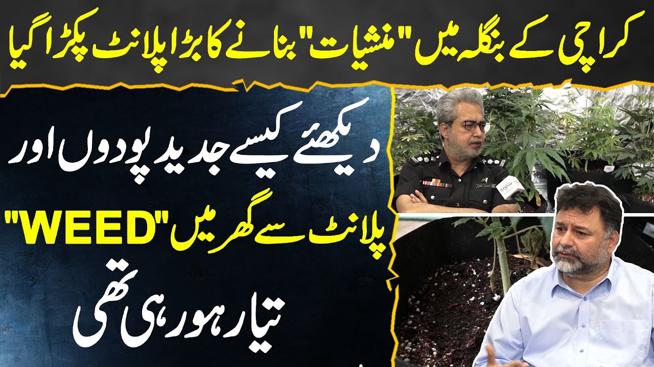 Weed Factory Busted In Karachi Villa - Modern Drugs Production Plant In Pakistan