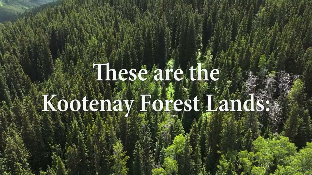 A landmark achievement: Kootenay Forest Lands