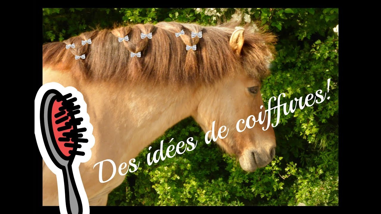 Idées de coiffures pour cheval/poney [TUTO n°2]
