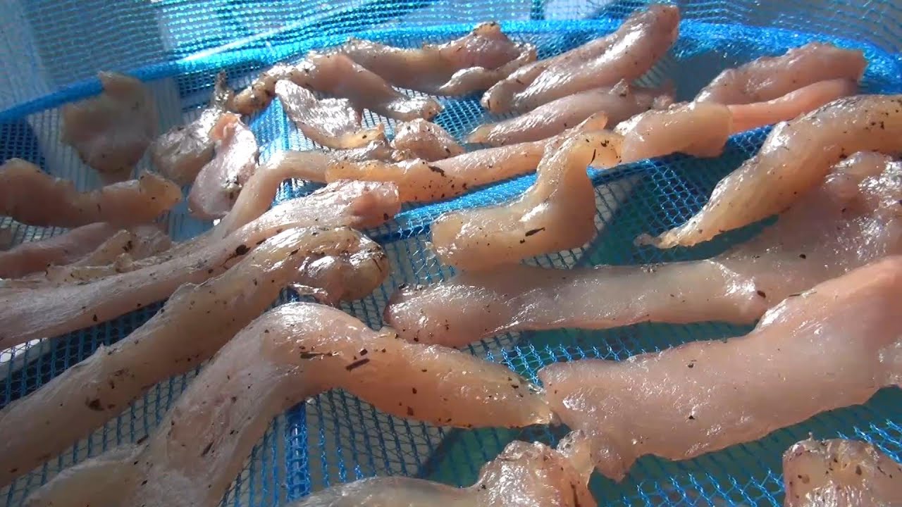 鶏の干し肉作るよ