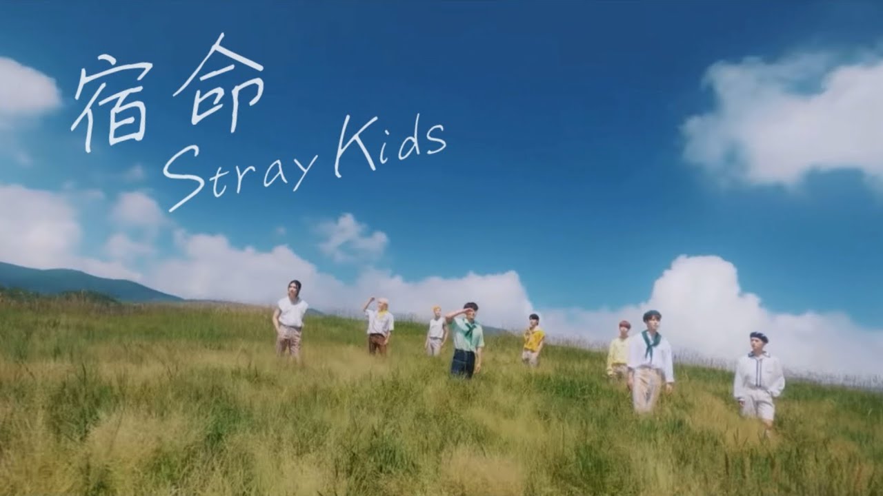 【FMV】宿命 / Stray Kids / Fate