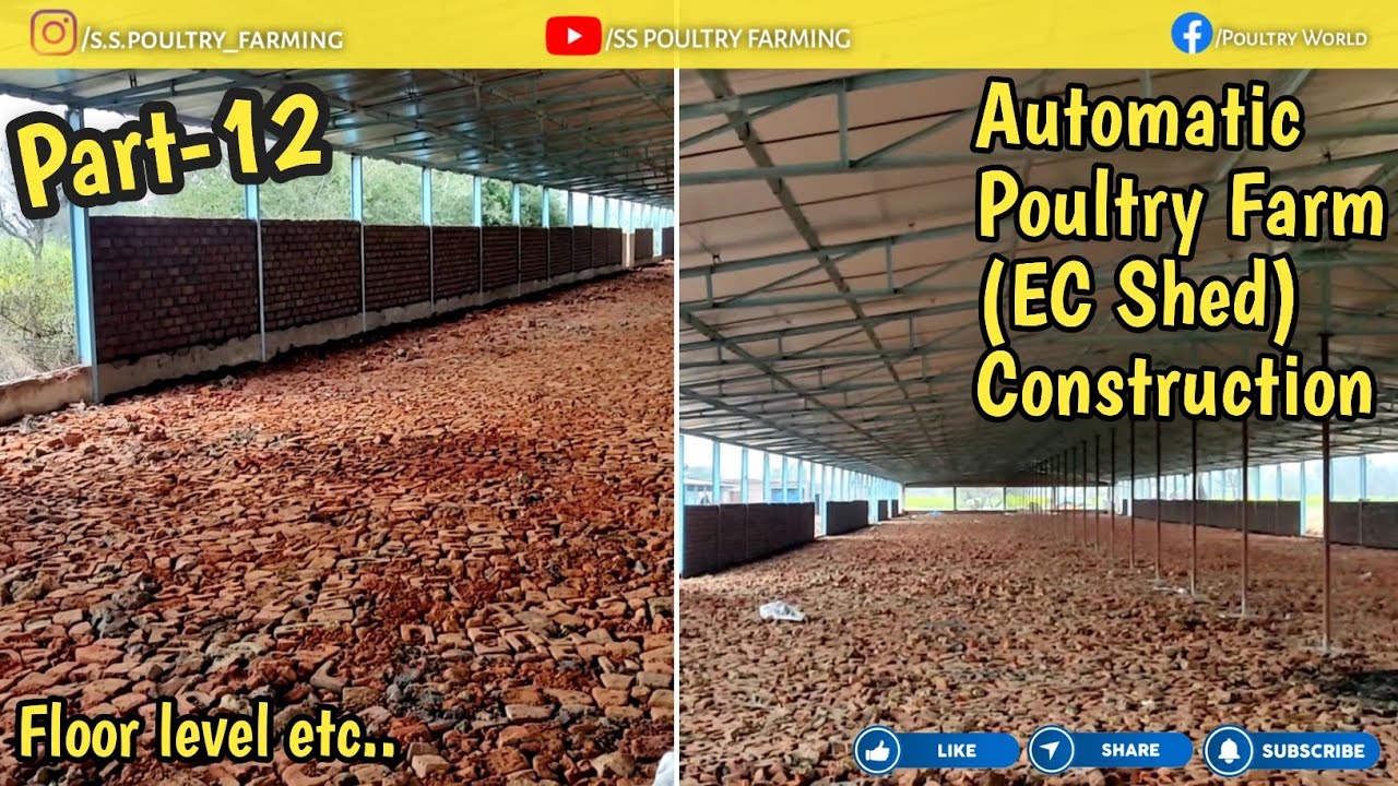 Part-12, Automatic Poultry Farm(EC Shed) construction,ऑटोमैटिक पोल्ट्री फार्म(EC शेड) कंस्ट्रक्शन-12
