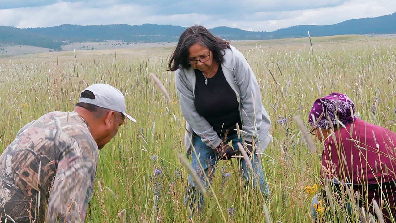 Rooted in Culture: Oregon's Wild Camas