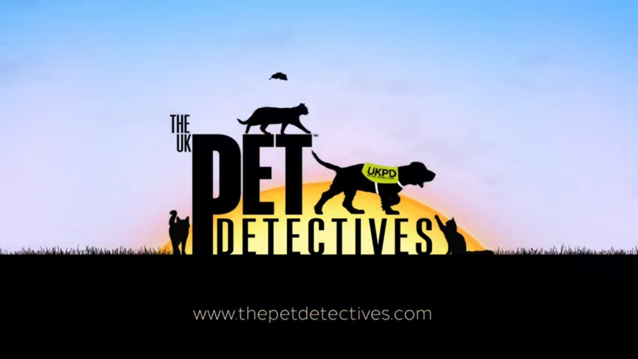 How to find a Missing Cat using a Trained Search Dog