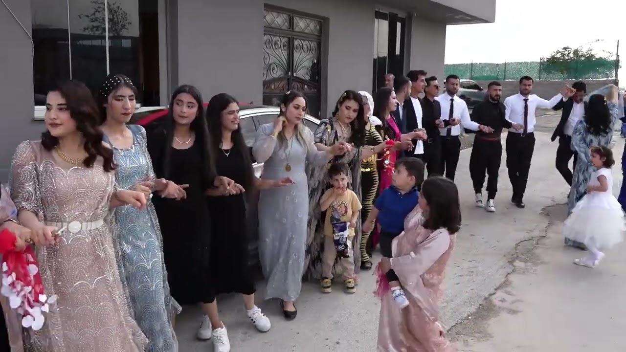 Mesut Demirhan Düğünü Part 3 ( Grup Musa Silopi ) 2024