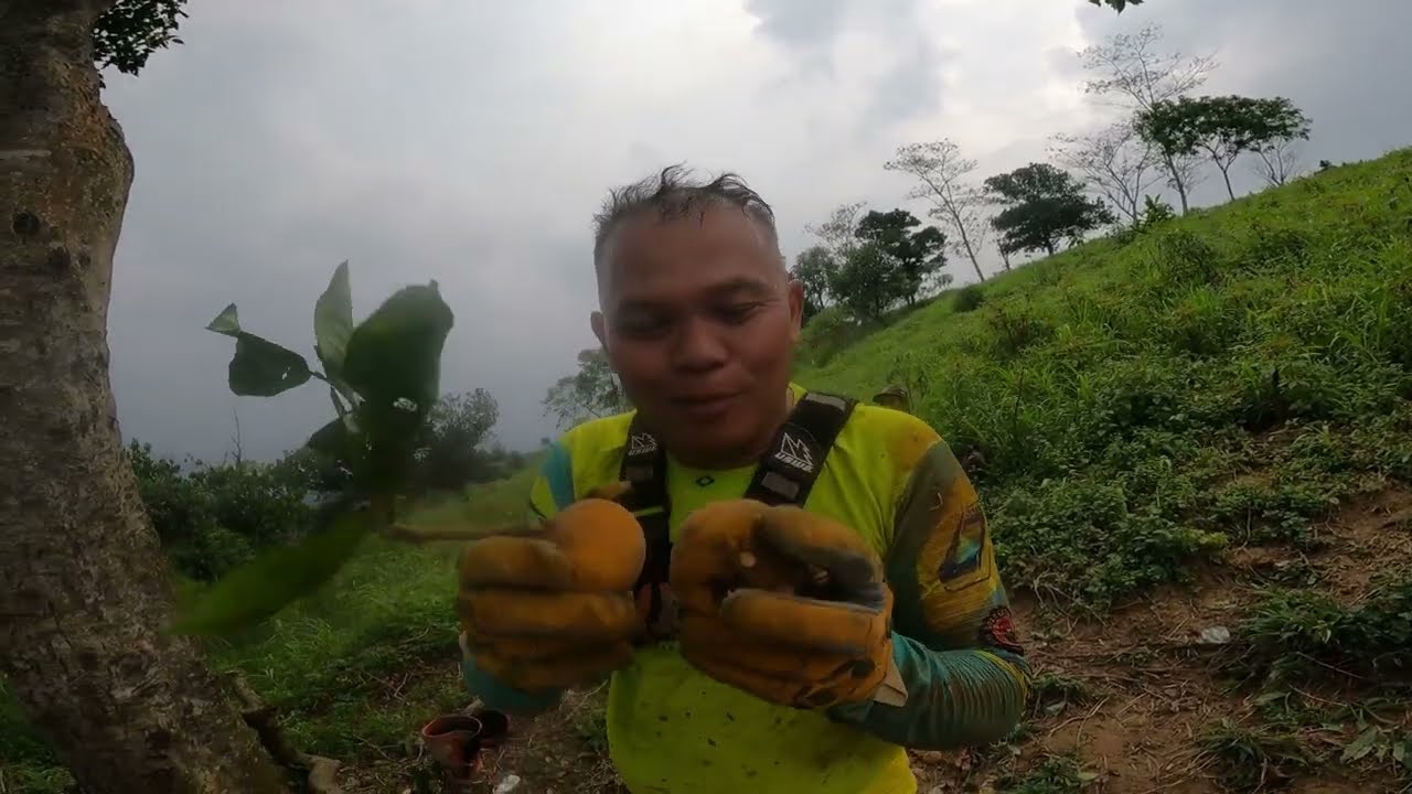 Ngetril sambil MALING Kecapi