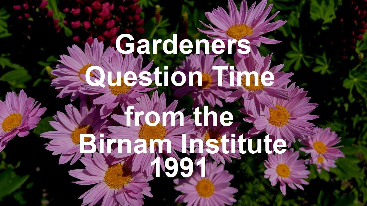 Gardeners Question Time from Dunkeld and Birnam 1991