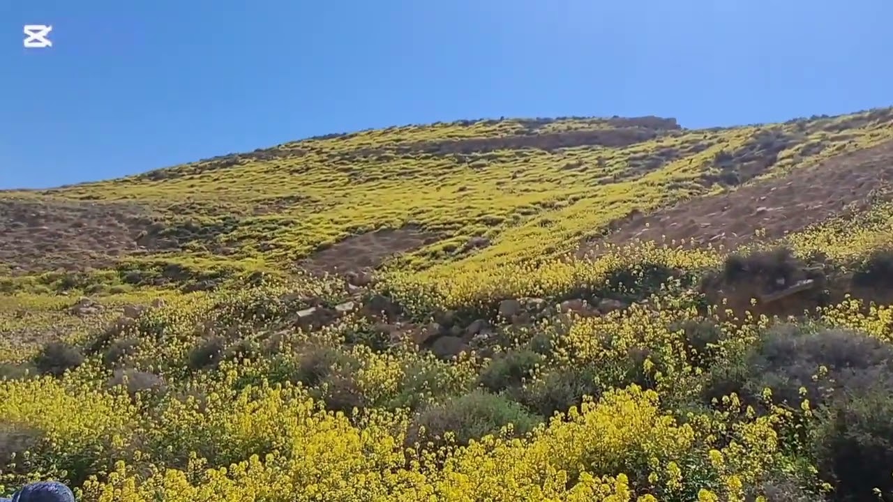 ٣ آذار ٢٠٢٦