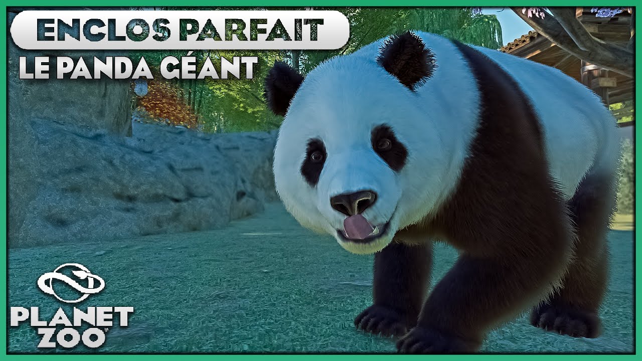 Les Pandas G&eacute;ants (Enclos th&eacute;matis&eacute;) | LES ENCLOS PARFAITS : EPISODE 68 | PLANET ZOO