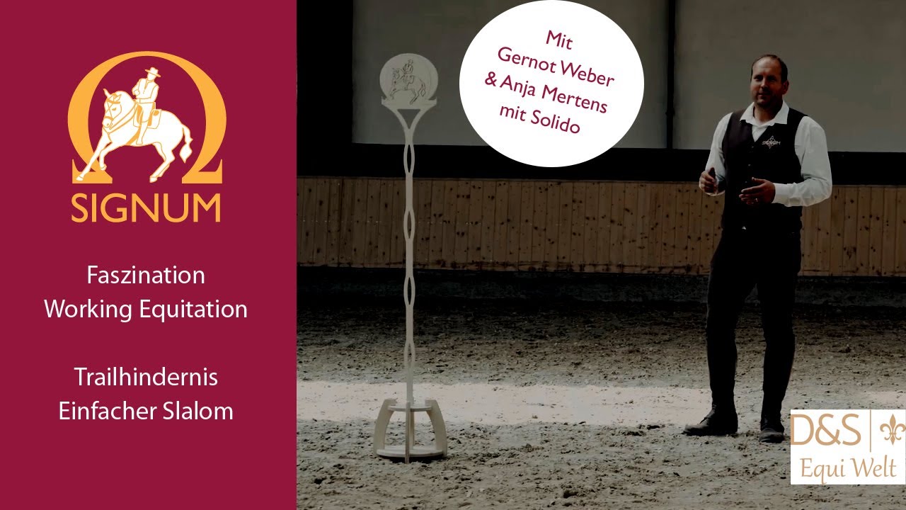 Faszination Working Equitation - Das Trailhindernis einfacher Slalom in der Praxis mit Anja Mertens