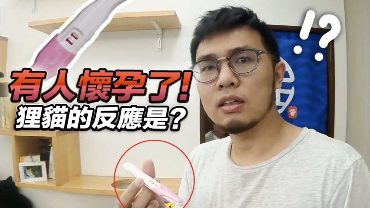 【有人懷孕了！狸貓的反應是？】志銘與狸貓