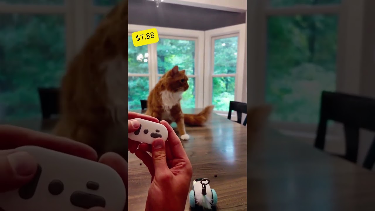 Worth every penny: the ultimate cat toy for picky pets!