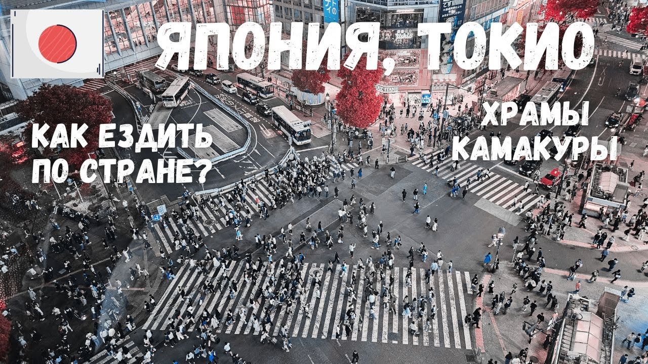 [2] Япония, Камакура, вечерний Токио. Как передвигаться по стране? Перекресток Сибуя, Хатико.