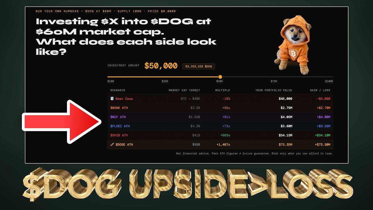 $DOG (Bitcoin) Gains Greater than Losses Right Now - EXPLAINED 📈💰