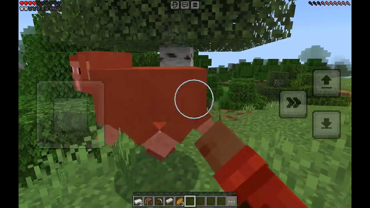 Minecraftta 1 köy buldum!