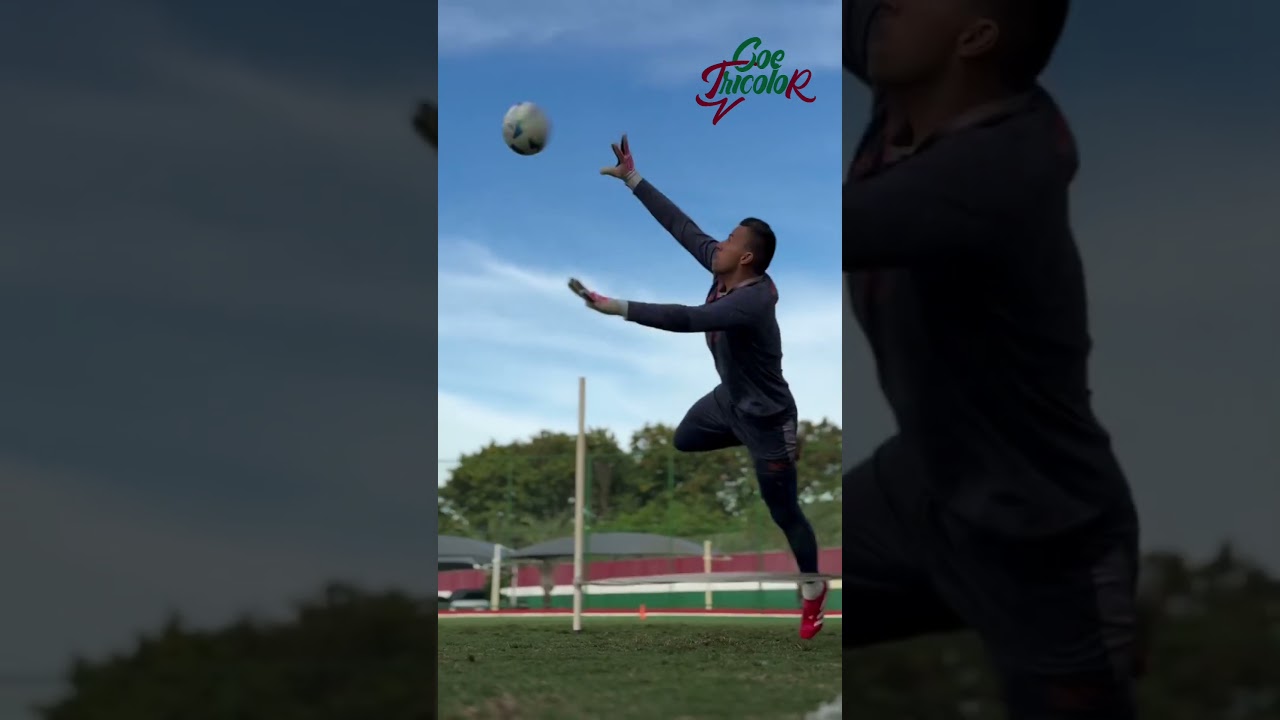 PARED&Atilde;O! 🚨 | COE TRICOLOR