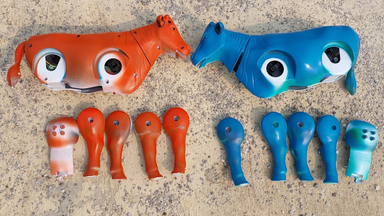 Wadidaw.! menemukan sapi lucu, sapi sapian, merakit sapi warna warni