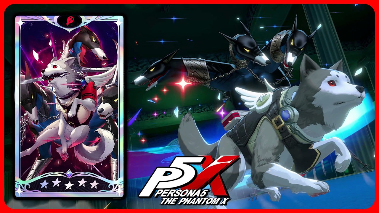 Koromaru - 5 Star Character Showcase - Persona 5: The Phantom X