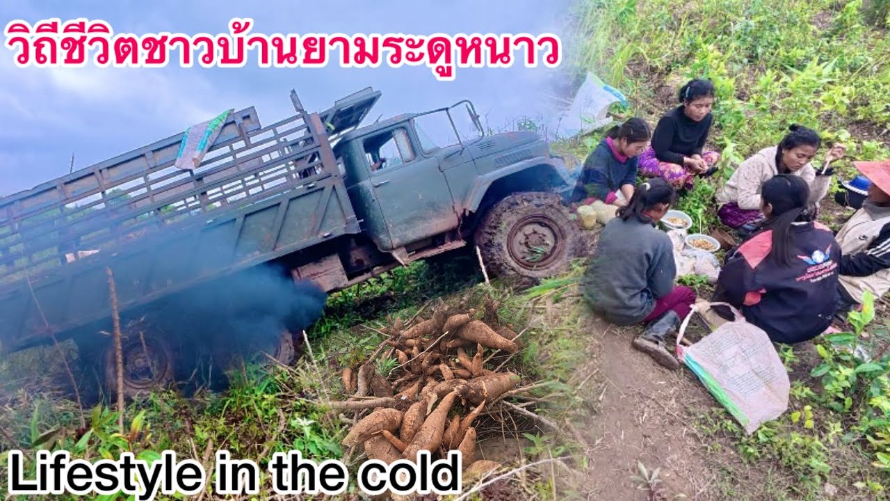Lifestyle in the cold ￼วิถีชีวิตชาวบ้านในยามระดูหนาว￼