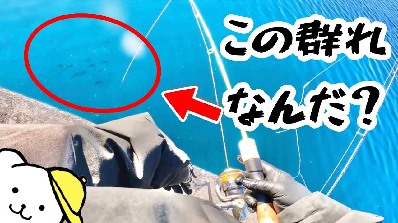 【焼津ふぃしゅーな】群れてるのに釣れない魚をミャク釣りで狙う