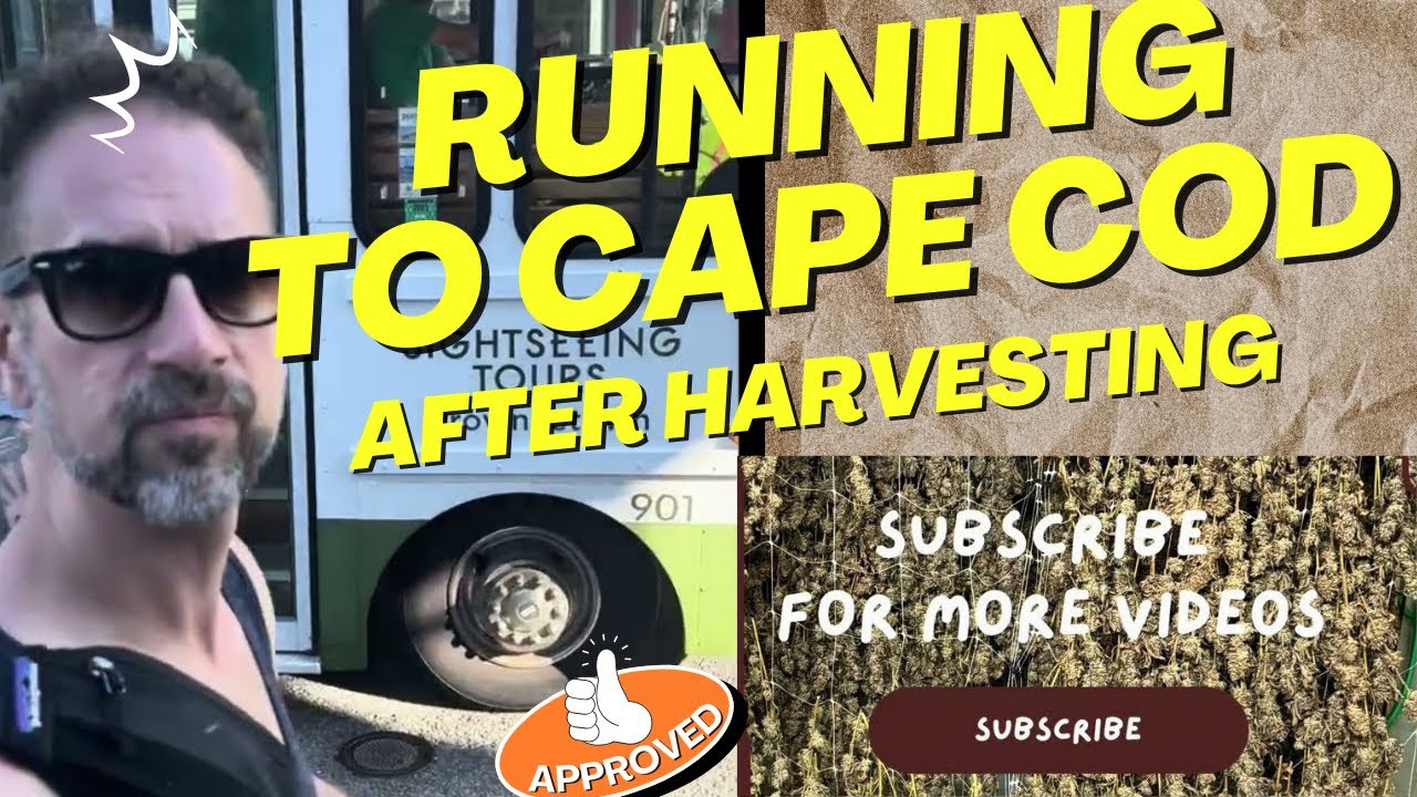 We’re in Cape Cod after Harvest Season  