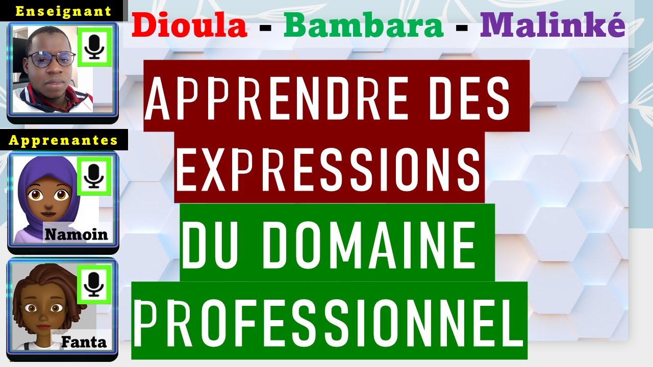 Apprendre Dioula - Bambara - Malinké | Les Expressions du Domaine Professionnel | Cours Zanga School