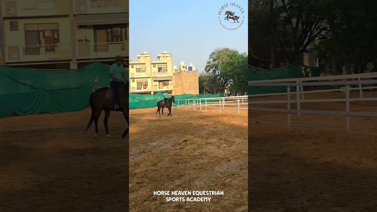 Horse Riding Fun in Jaipur!  | Heaven Equestrian Sports Academy Jaipur