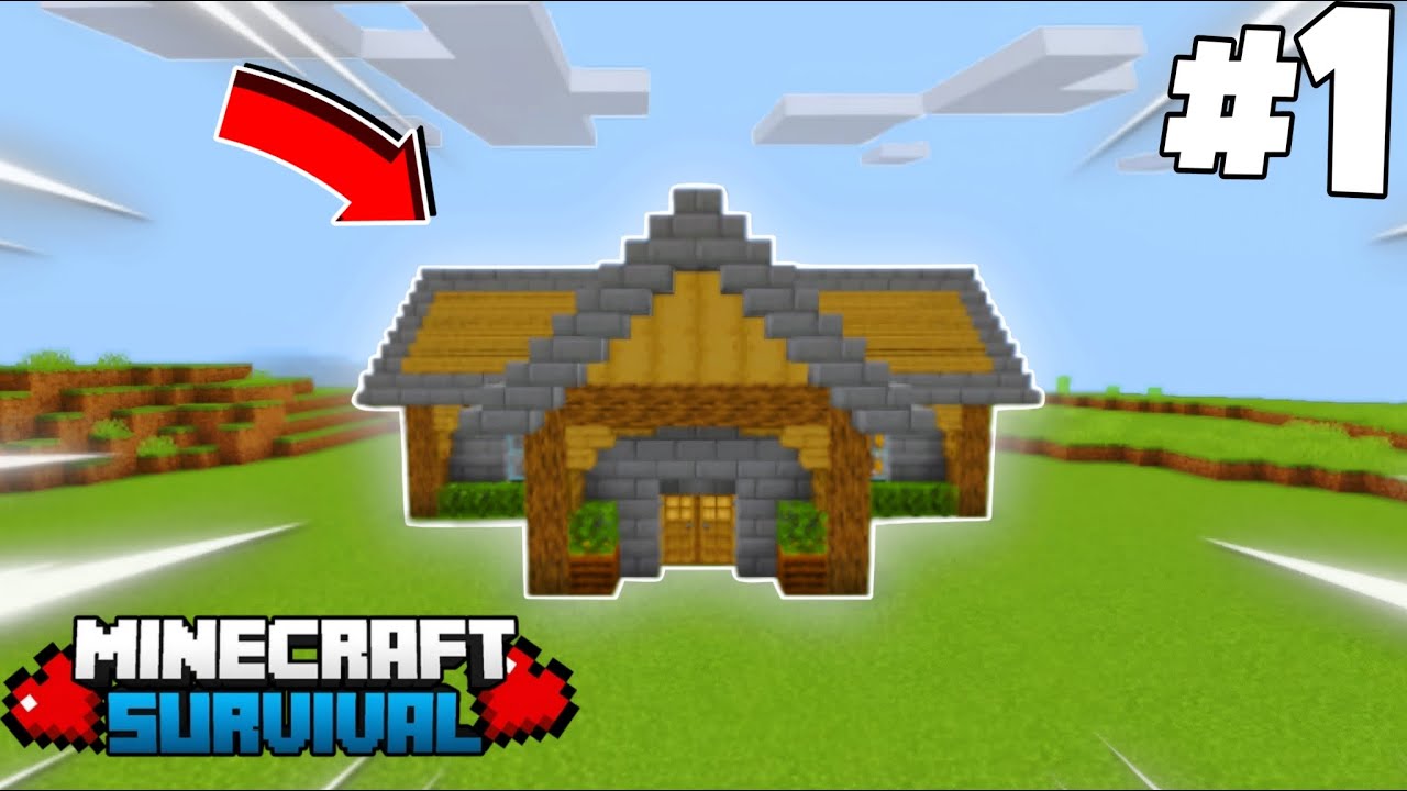 This Is The Best Minecraft Start || Minecraft Survival 1.21 EP- 1 ||