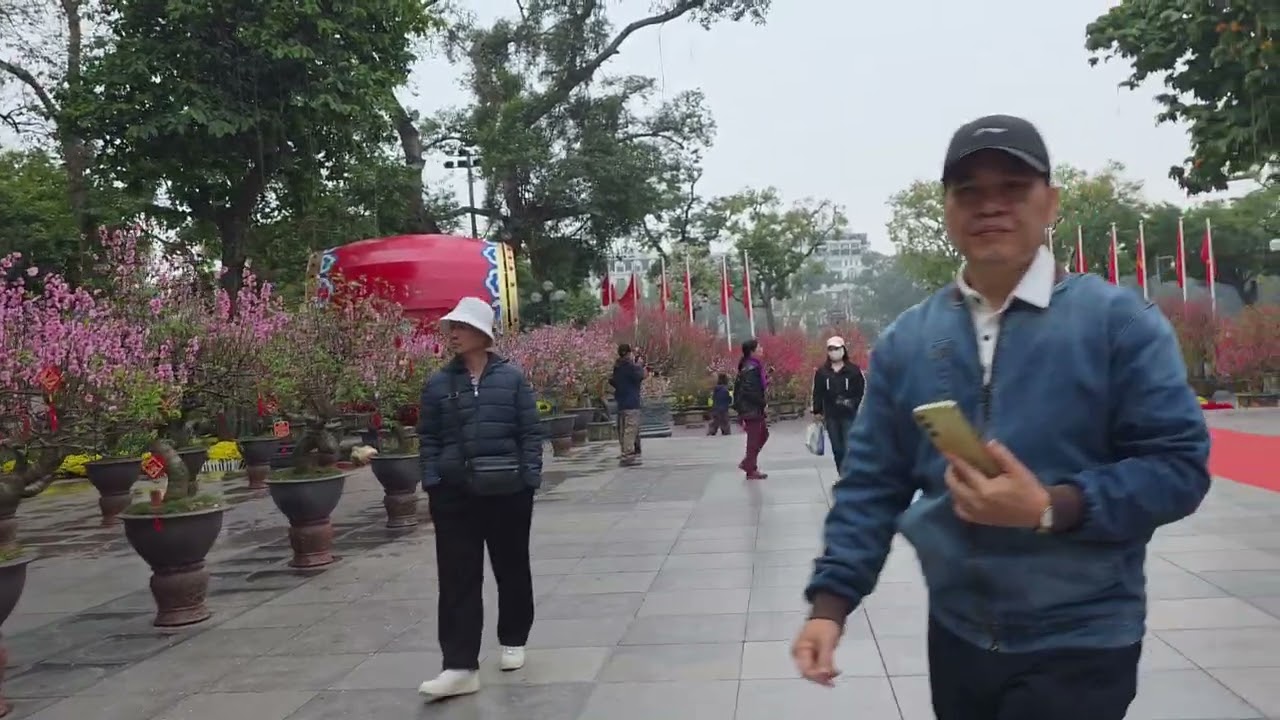 Chúc mừng năm mới Bính Ngọ. Mùng 2 tết