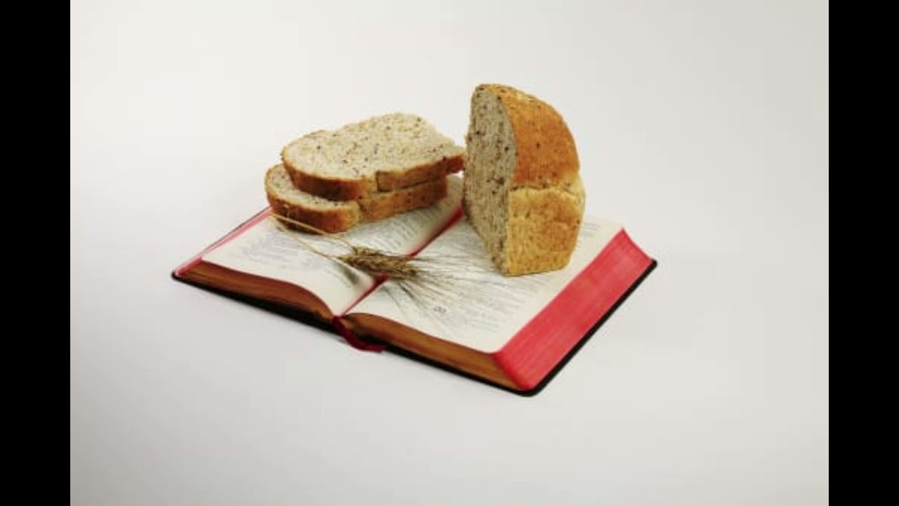 მზრუნველი ხელი - 1-9-2026