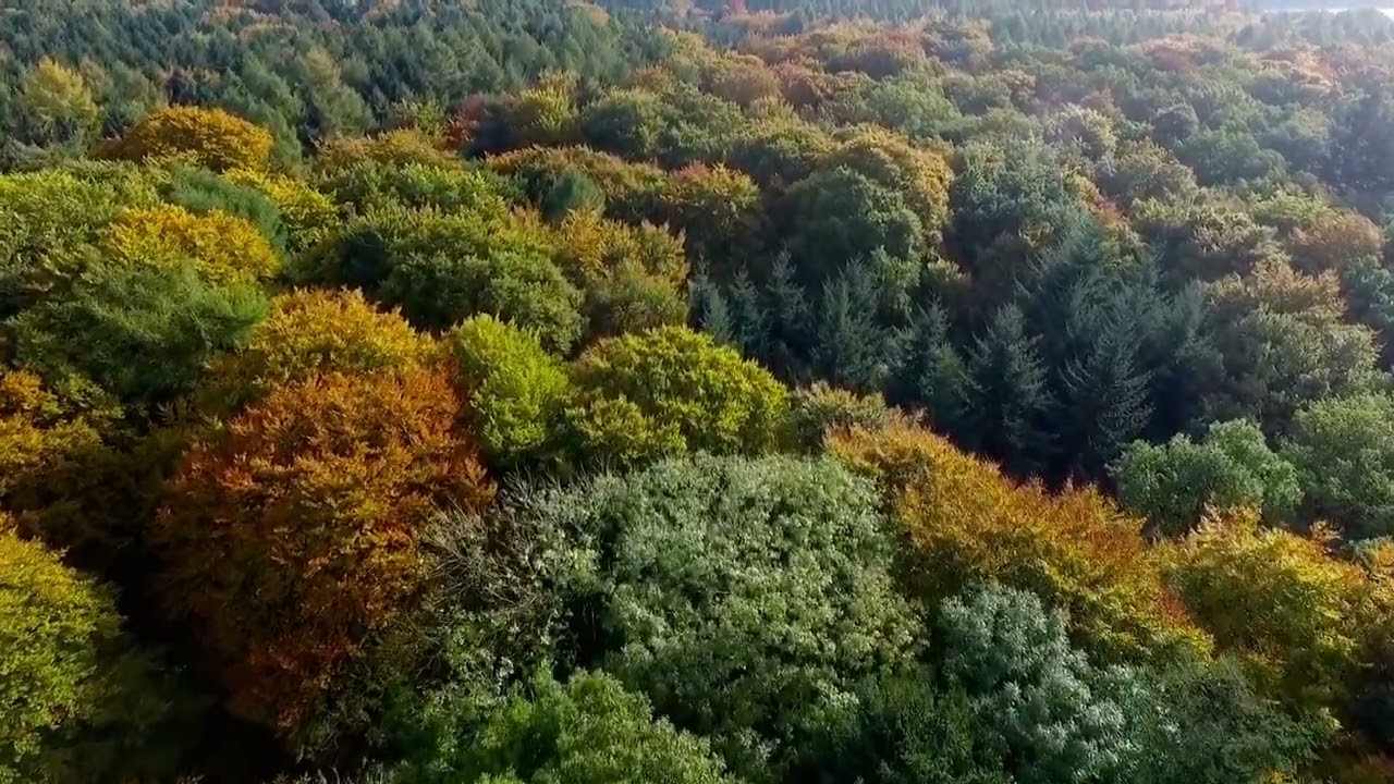 hidden roads