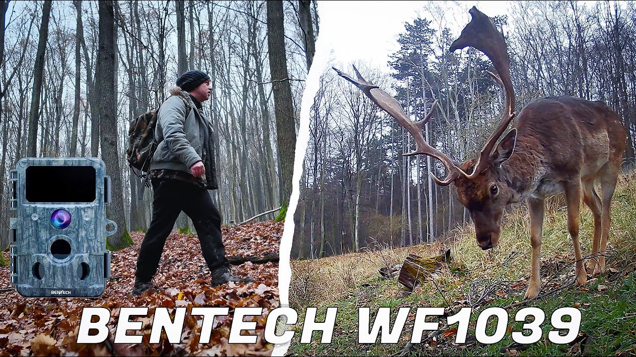 Bentech WF1039 moja najlep&scaron;ia fotopasca