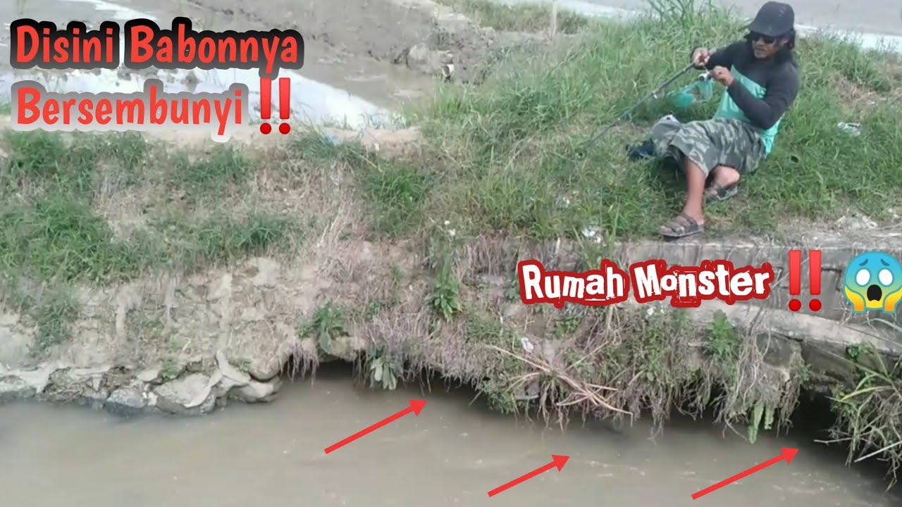 Wędkarstwo 2022 - Najnowsze Wędkarstwo 2022 - Fishing Mania 2022 - Największy Wędkarstwo Sumowe‼️