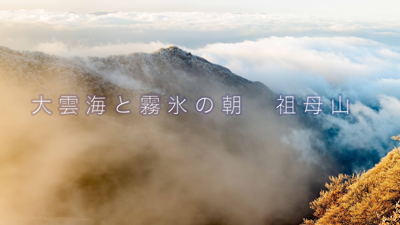冬の祖母山　霧氷輝く大雲海の朝　２０２６