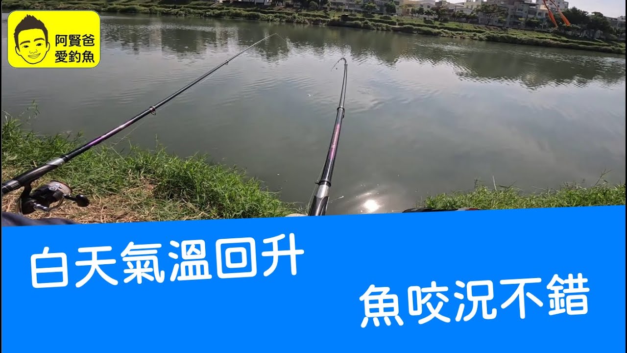 【阿賢爸】愛釣魚 Ep.527 白天氣溫回升  魚咬況不錯