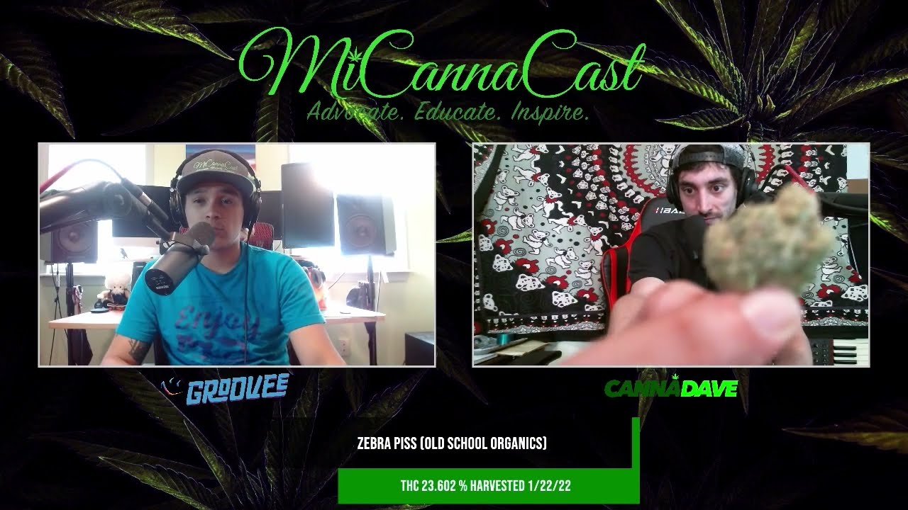 Zebra Piss Old School Organics & Cannbis and Music Festivals