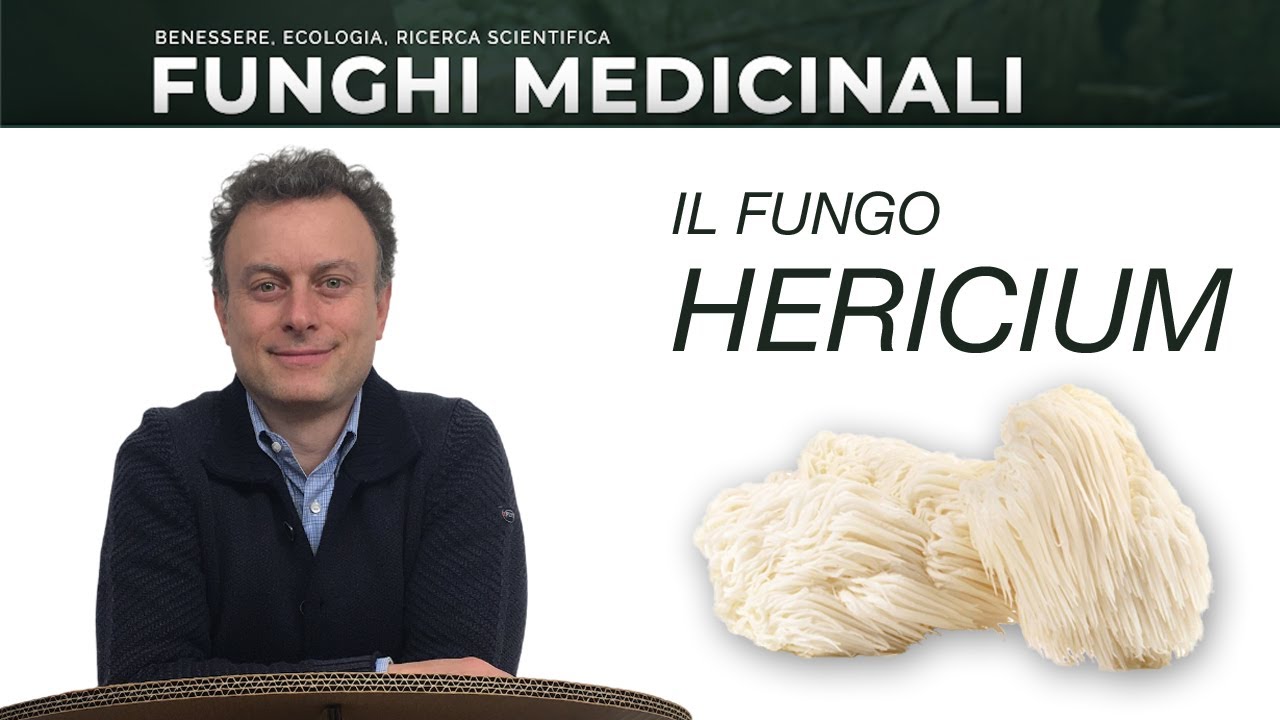 Il fungo Hericium. Microlezione sui funghi medicinali del dr. Marco Passerini