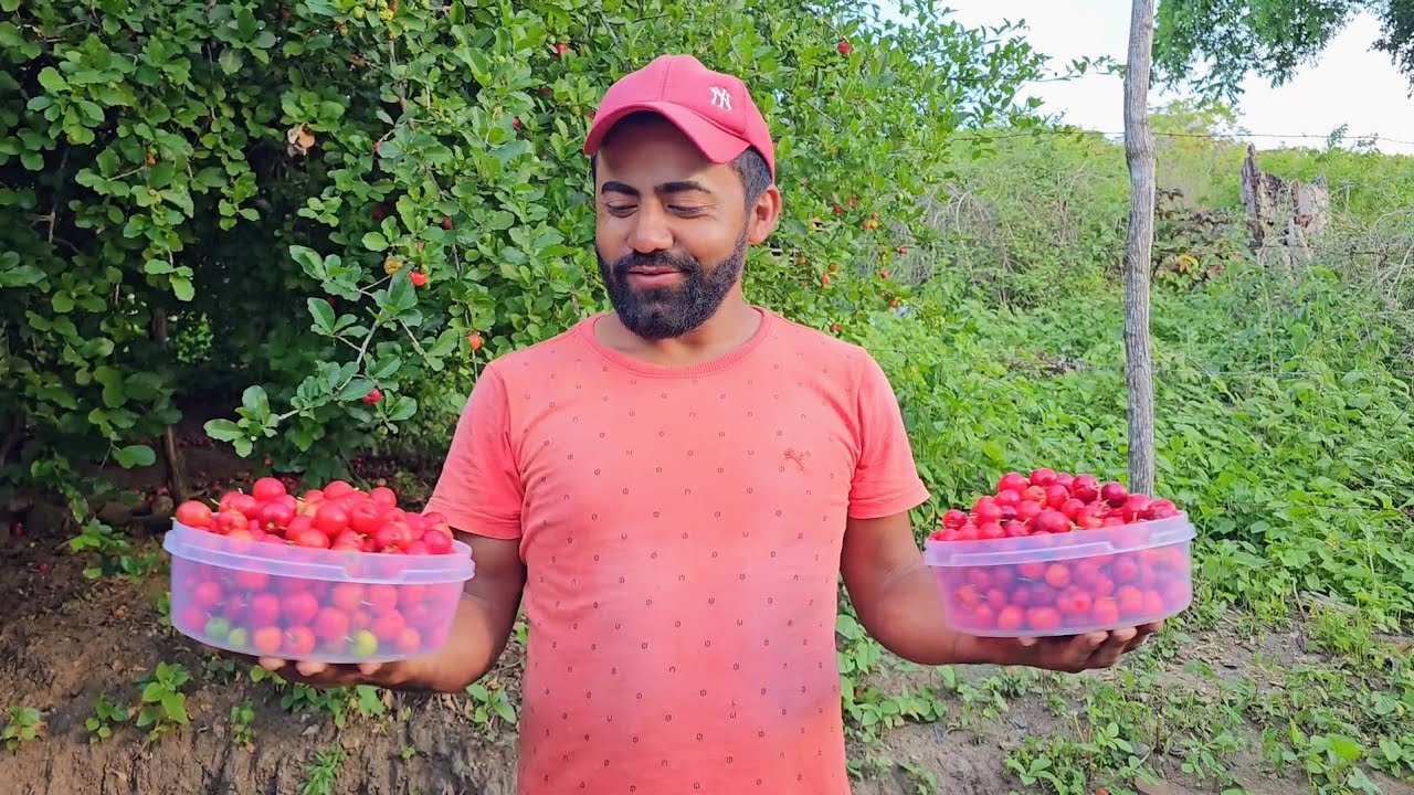  colher frutas sem precisar comprar é bom demais 🙏