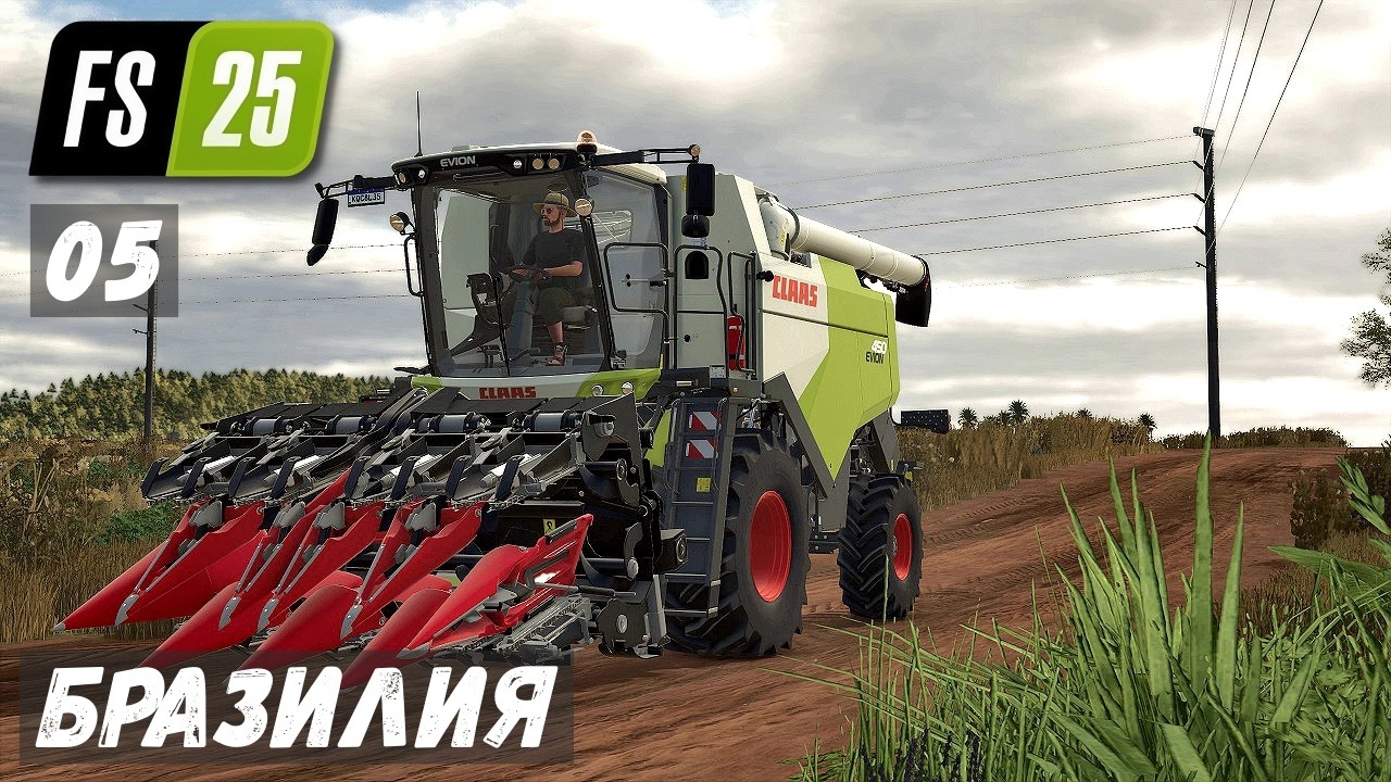 FS 25 - Бразилия.  Уборка ПОДСОЛНУХА.  Продаю КАРТОФЕЛЬ # 05