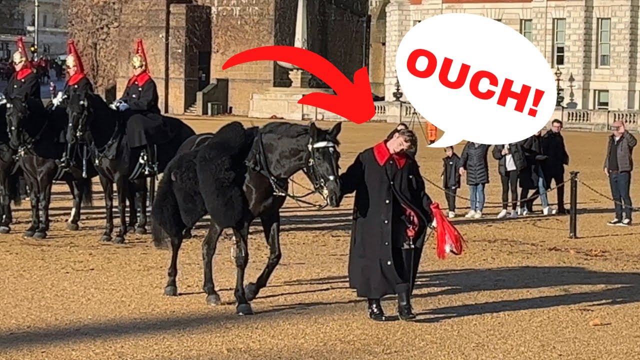 Horse Goes Crazy and Guard Falls Off