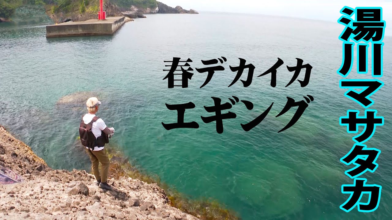 湯川マサタカが春の伊豆半島で大型アオリイカを追う 2/2 『SALT X 26』【釣りビジョン】