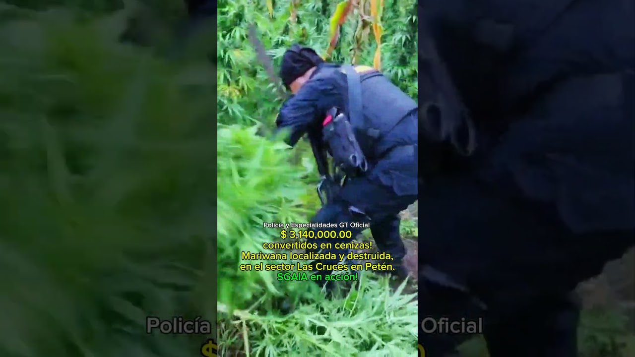PNC DE GUATEMALA ESPECIALIDADES - SGAIA #pncguatemala #pnc #SGAIA #police