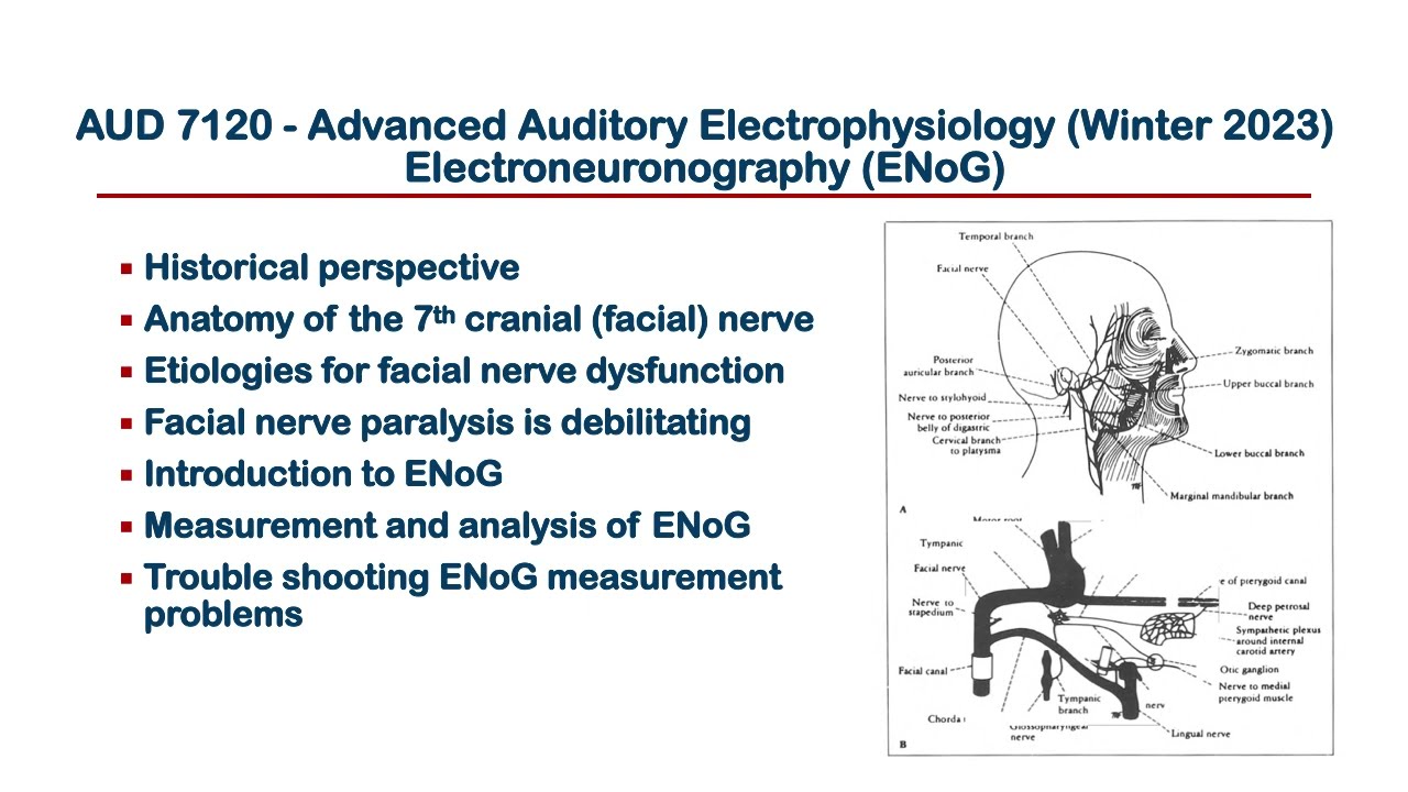 Electroneurography ENoG NARRATED