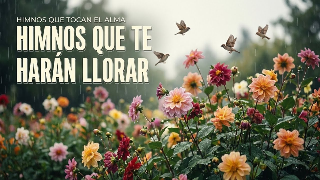HIMNOS QUE TE HARÁN LLORAR 🌧️🌸 | Himnos que Tocan el Alma en Vivo • Consuelo y Paz