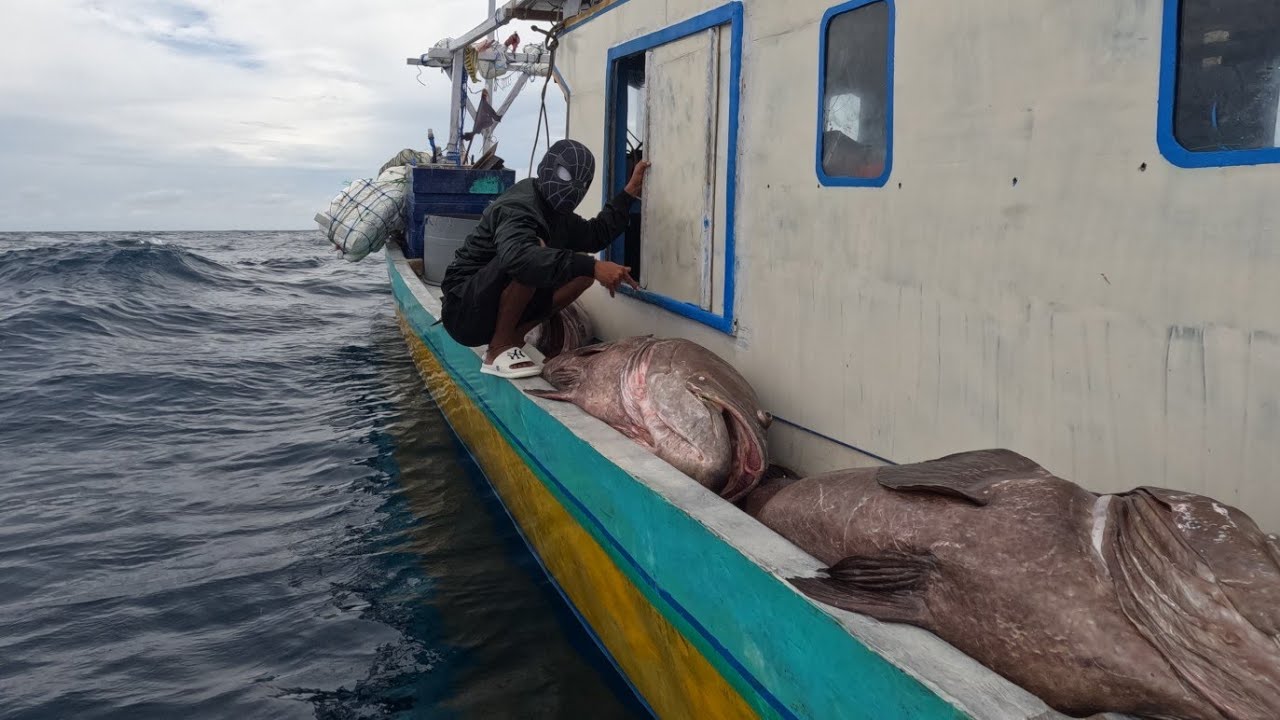 3 ekor grouper big berhasil terekam disaat Cuaca ekstrem!!