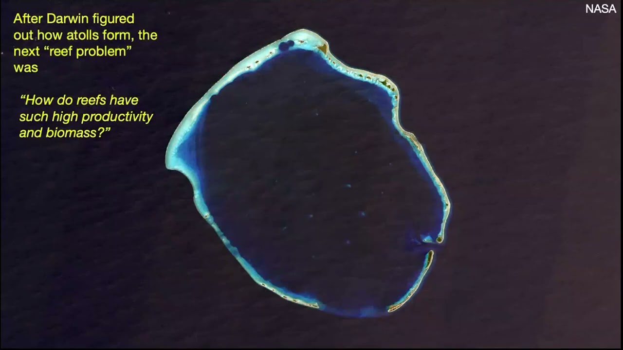 Dr. Eric Hochberg,  Bermuda Institute of Ocean Sciences